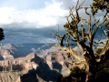 401grandcanyon