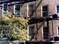 359nydowntown